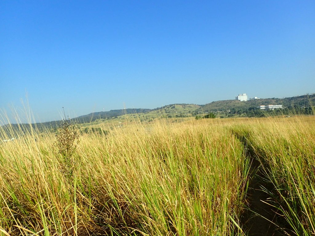 PA282024.JPG - 烏日  學田山登山步道