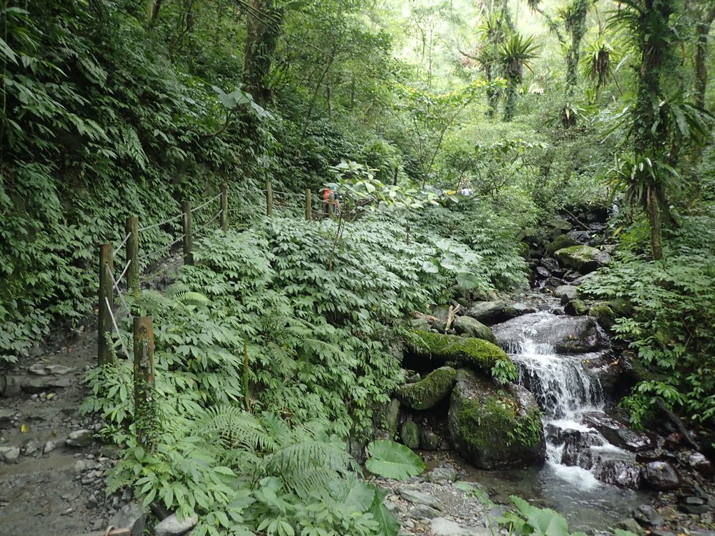 PB159013.JPG - 礁溪  聖母登山步道  (抹茶山)