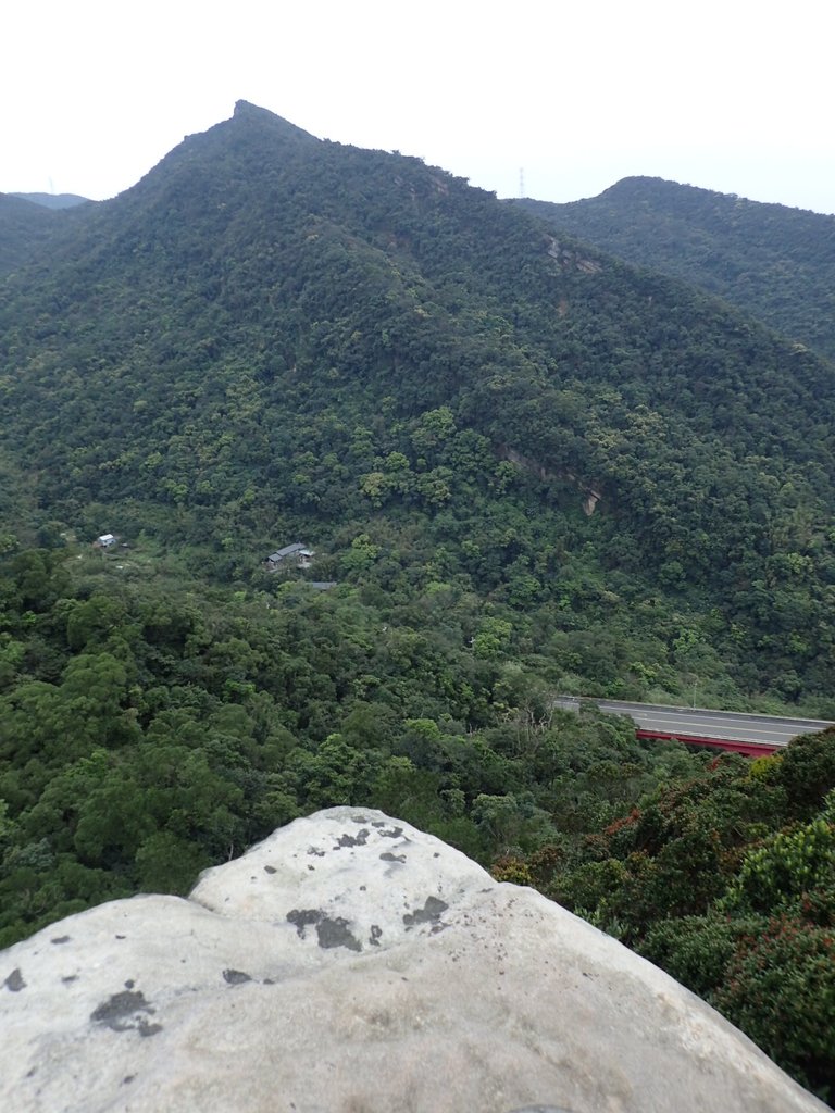 P3160158.JPG - 汐止  金面山(金明山)  稜線步道