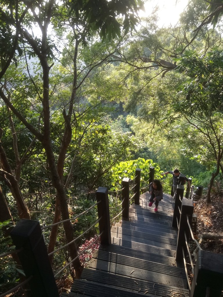 DSC_0714.JPG - 潭子 聚興山  新田登山步道