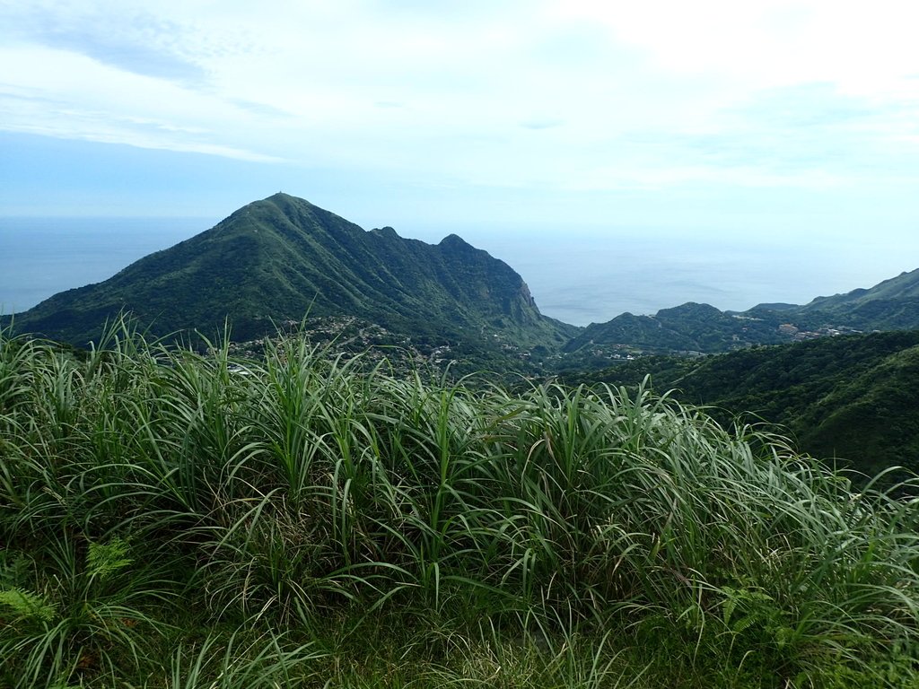 P6090247.JPG - 瑞芳  小金瓜山露頭