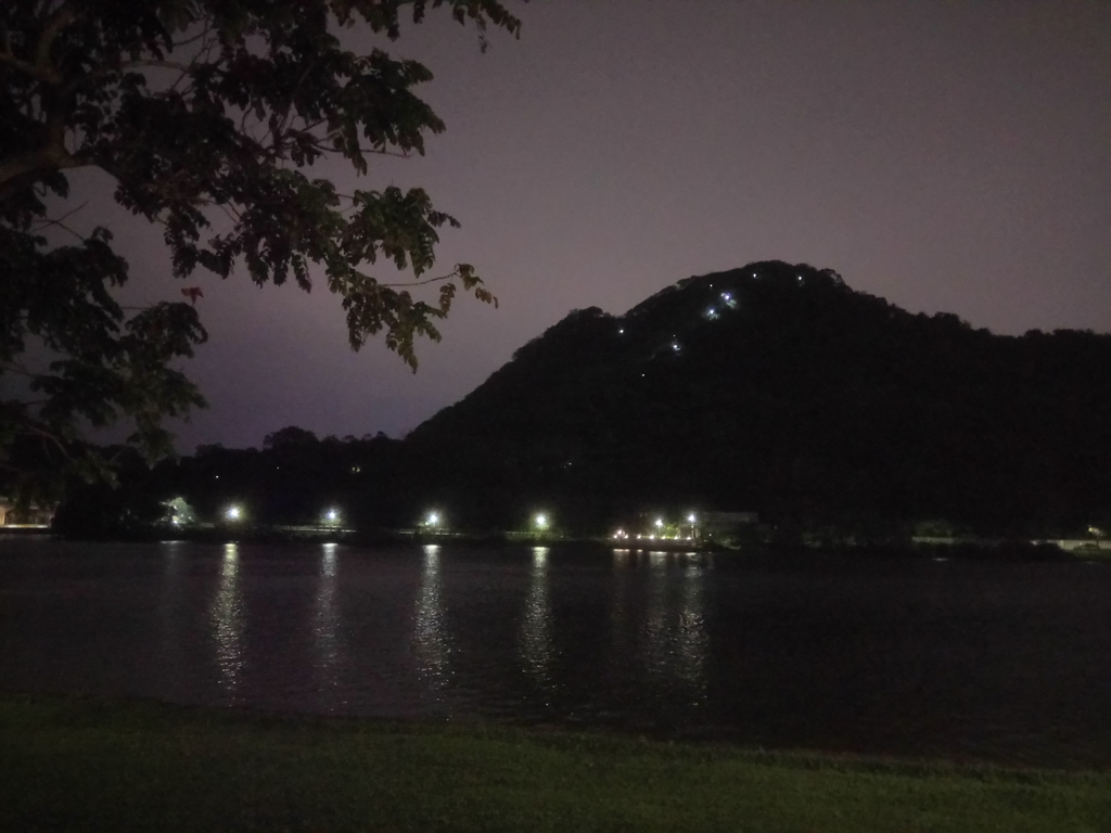 DSC_9319.JPG - 內湖  大湖公園之夜色