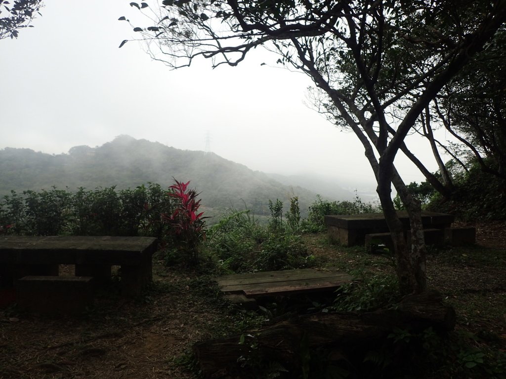 P2145417.JPG - 秀崎山  瑞芳山  龍潭山