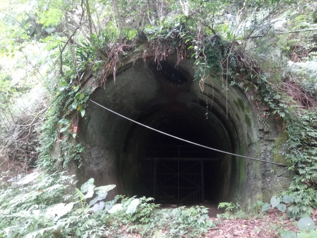 DSC_4126.JPG - 魚池  大尖山  鹽土坑林道