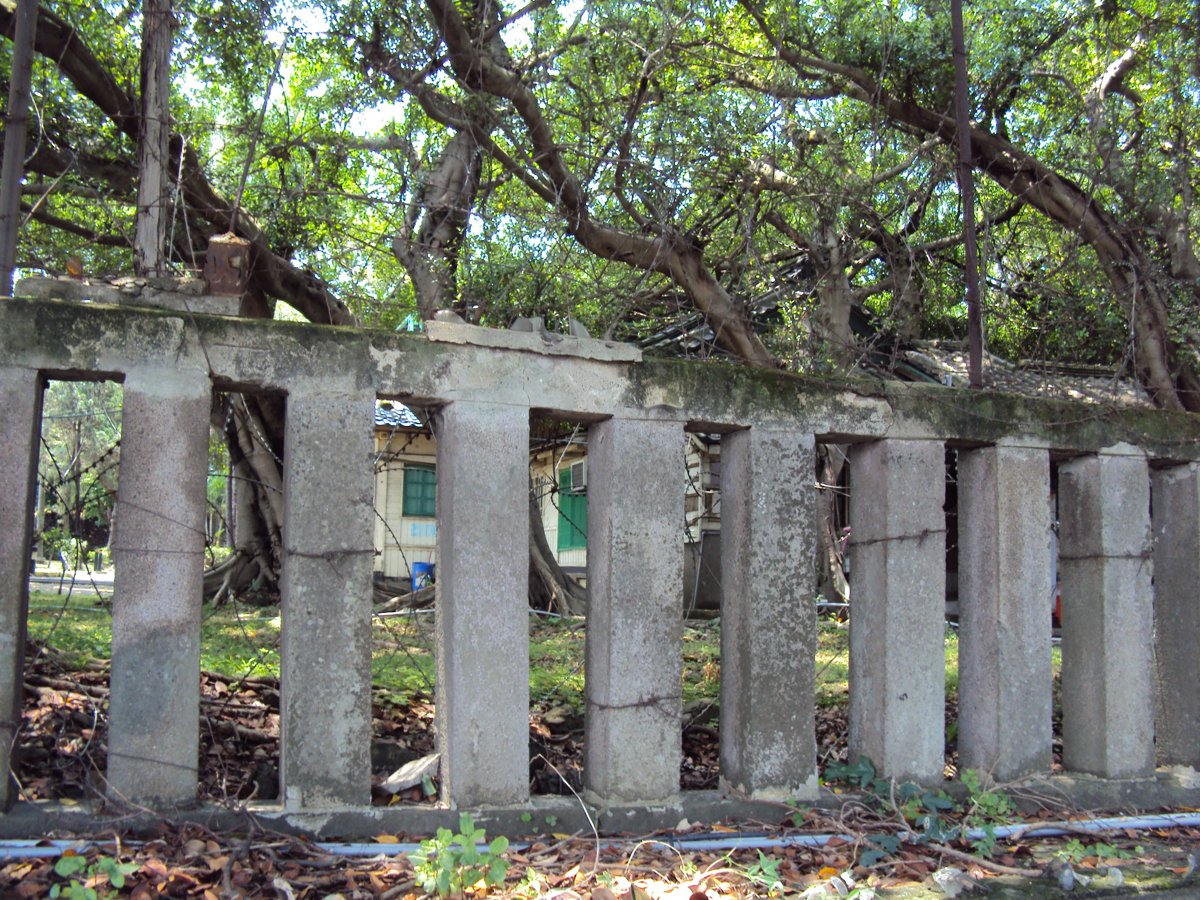 DSC04820.JPG - 新竹神社遺跡