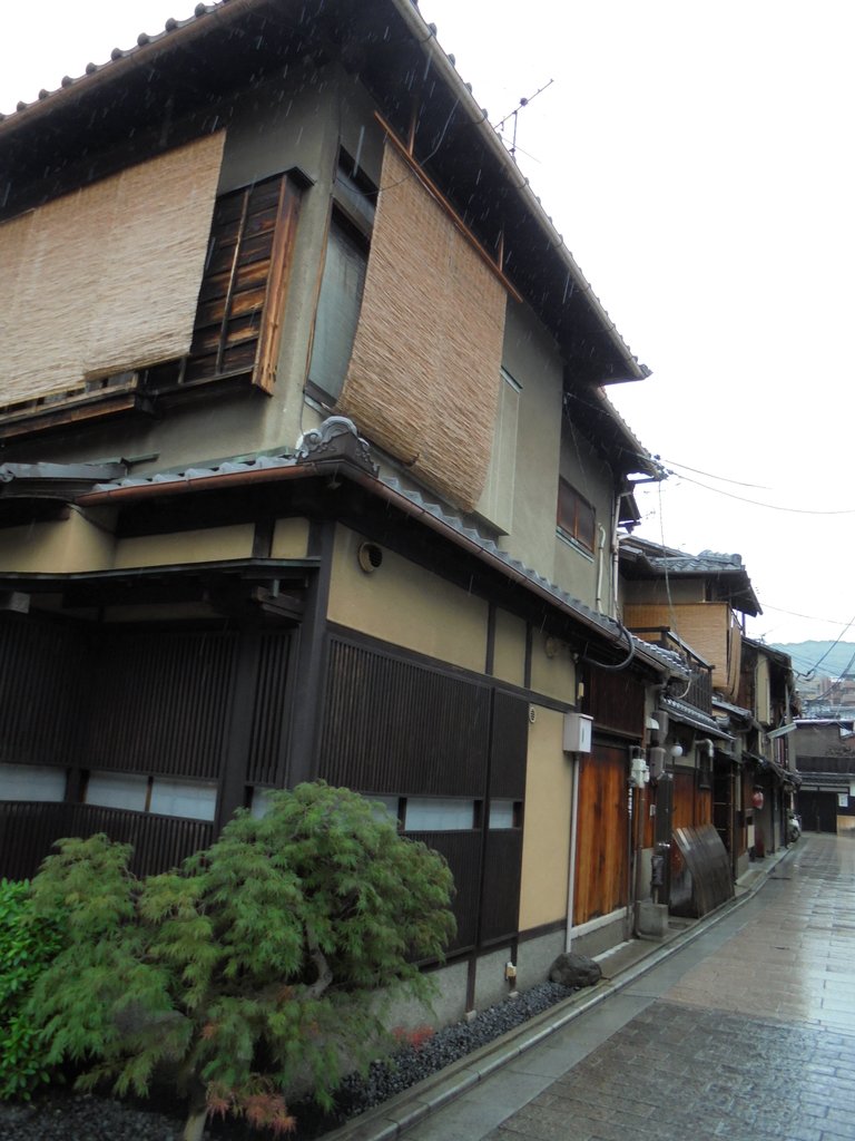 DSC03987.JPG - 京都  衹園  花見小路