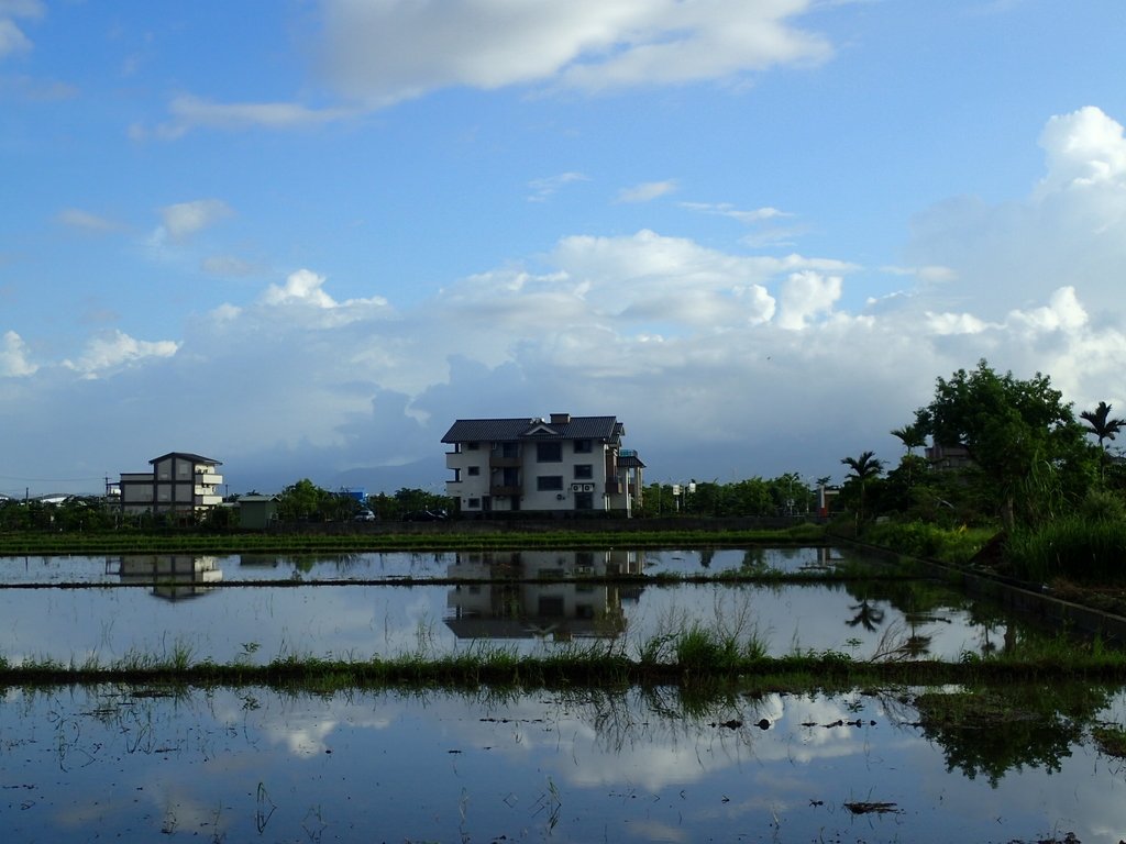 PA104181.JPG - 壯圍  竹安  水田雲影