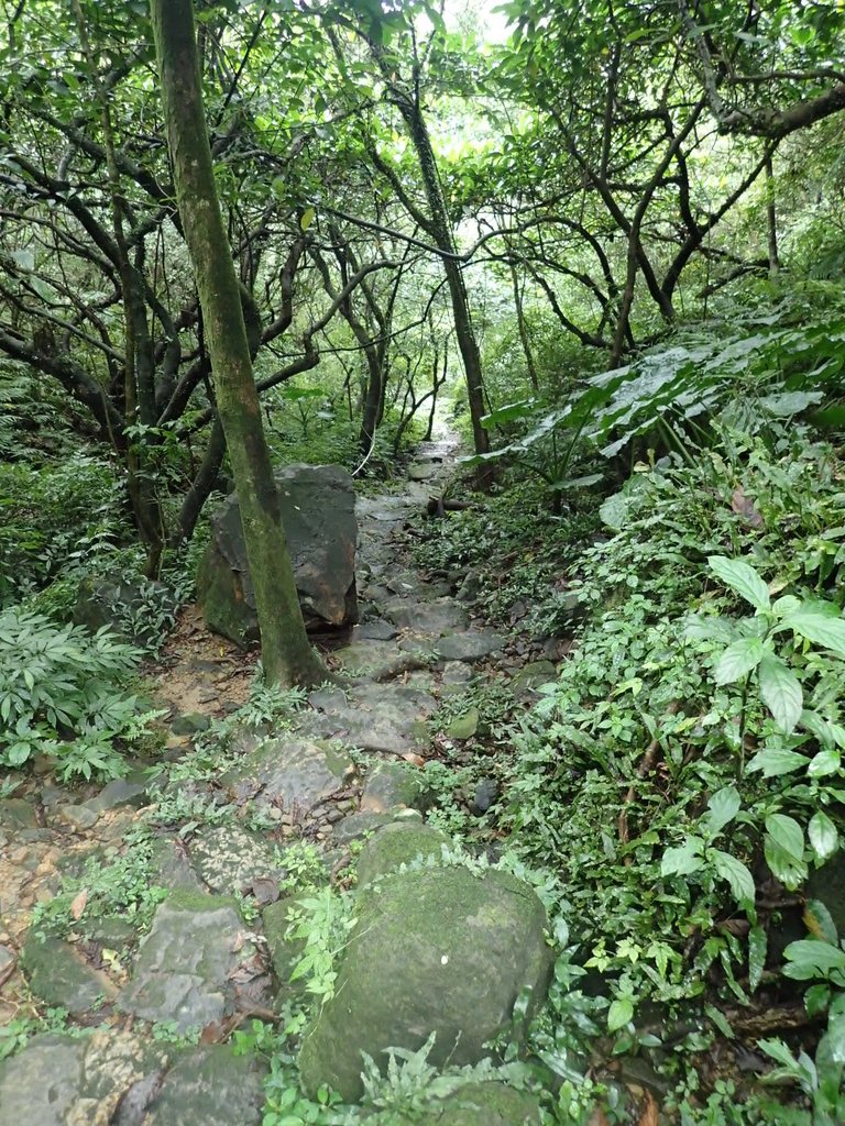 P1274359.JPG - 瑞芳  燦光寮古道初探