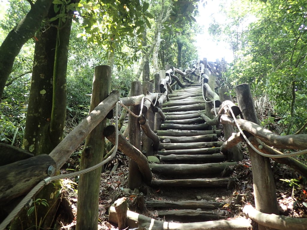 P5117183.JPG - 大坑四號步道  頭嵙山