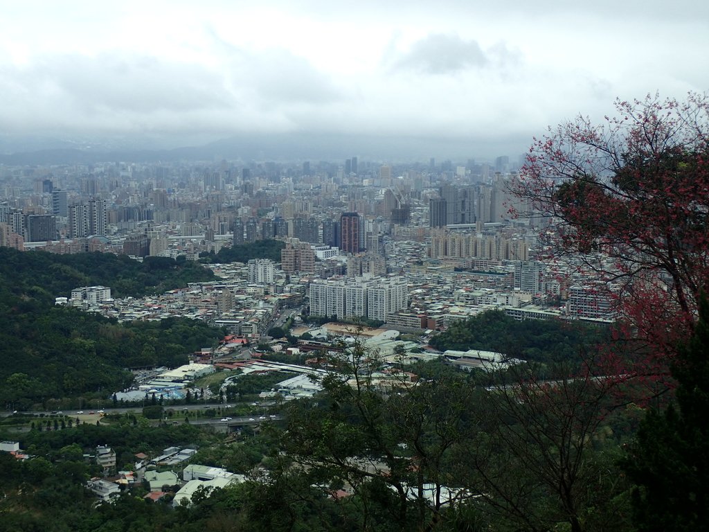 P2178185.JPG - 中和  南勢角山  (烘爐地)