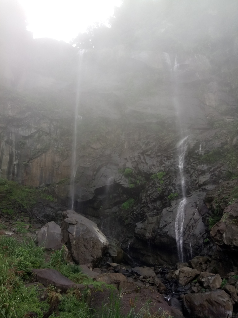 DSC_1172.JPG - 草嶺  蓬萊瀑布步道