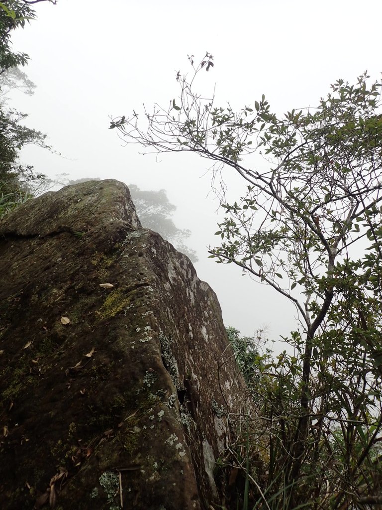 PA231723.JPG - 石壁山  嘉南雲峰步道