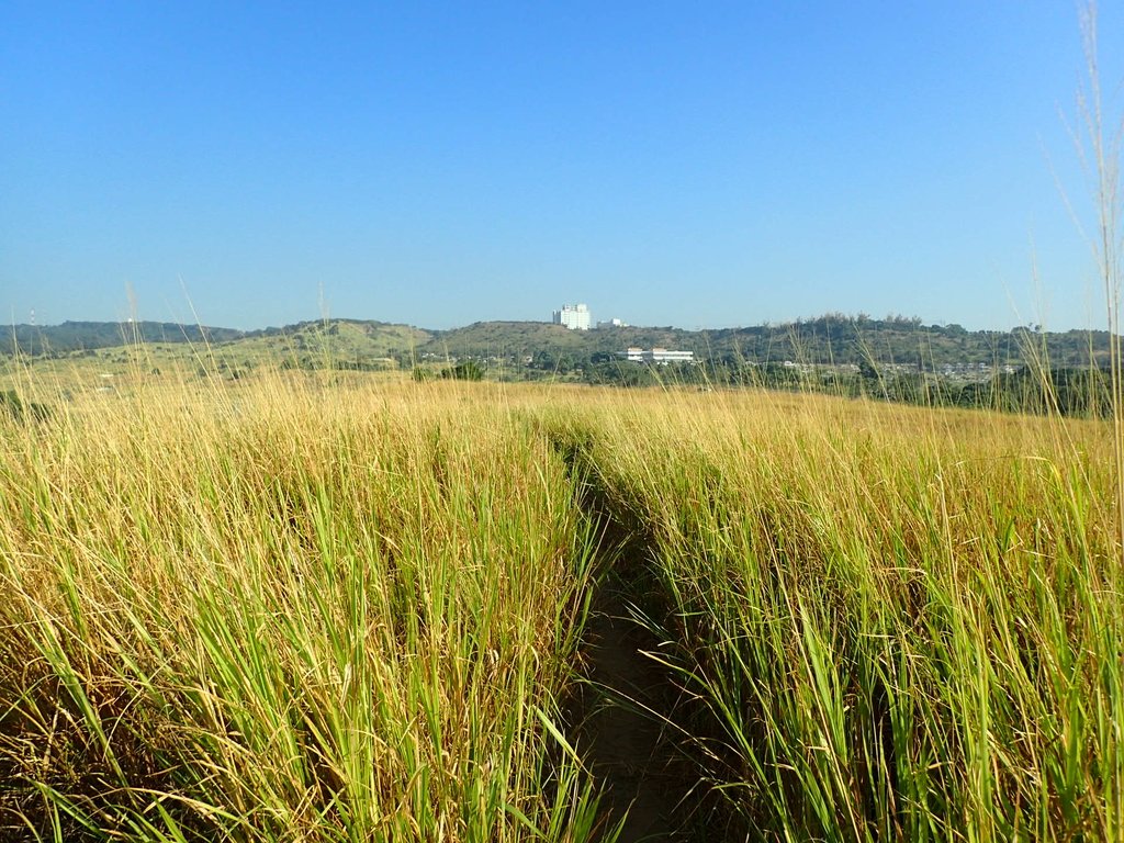 PA282026.JPG - 烏日  學田山登山步道