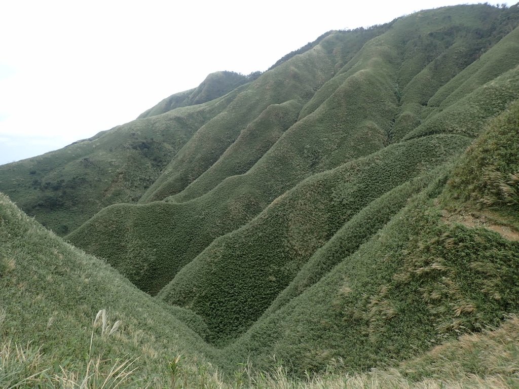 PB159024.JPG - 礁溪  聖母登山步道  (抹茶山)