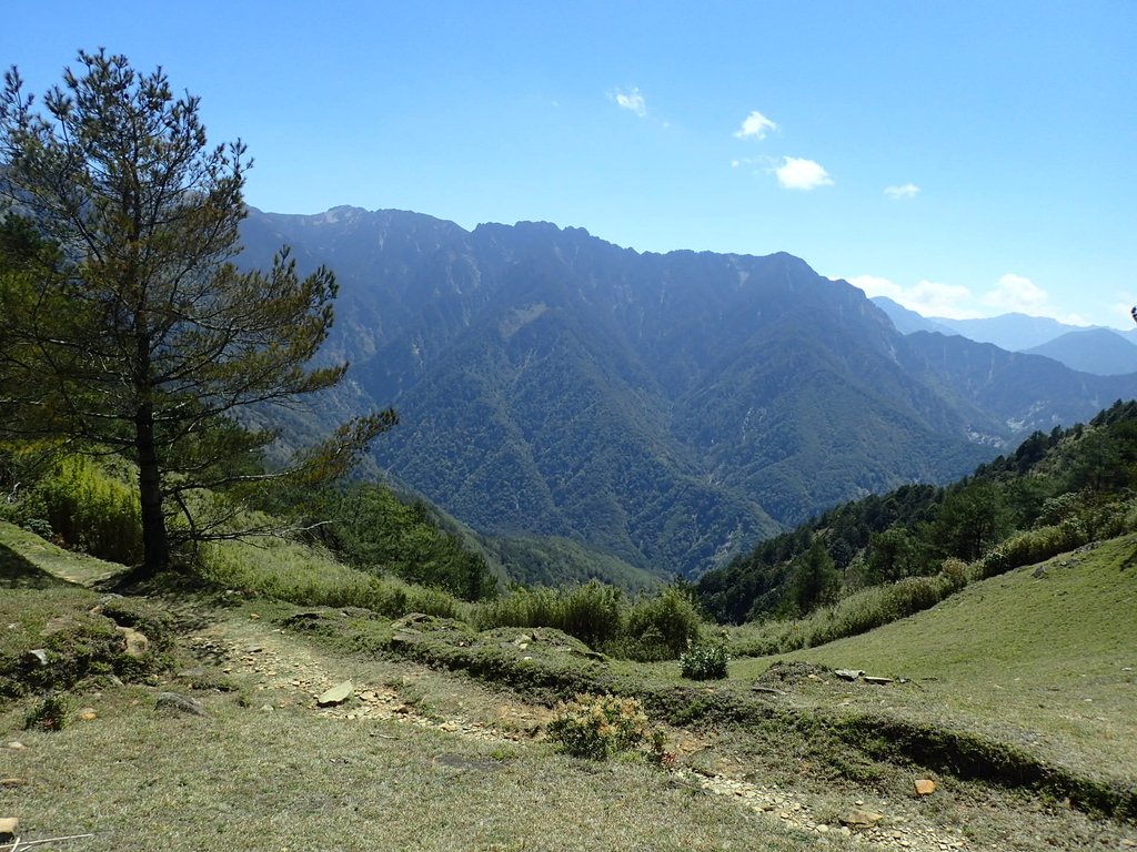 P3268146.JPG - 鹿林山  麟趾山步道  (02)