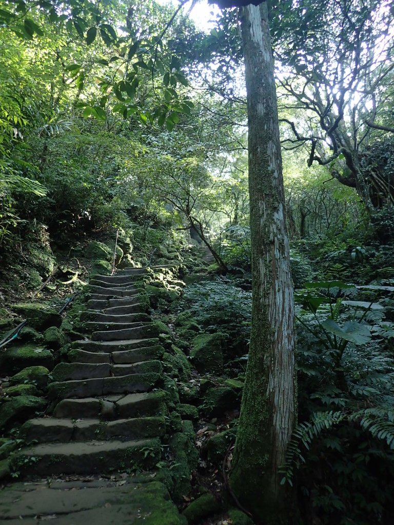 P1224265.JPG - 再訪---  平溪  孝子山登山步道