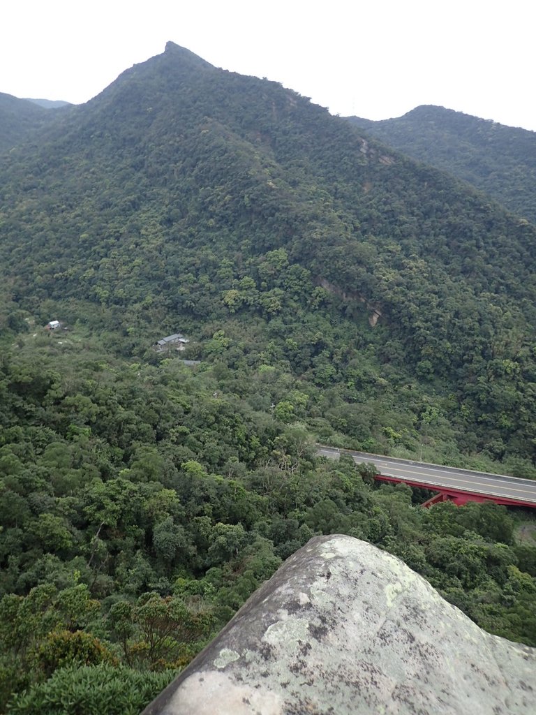 P3160160.JPG - 汐止  金面山(金明山)  稜線步道