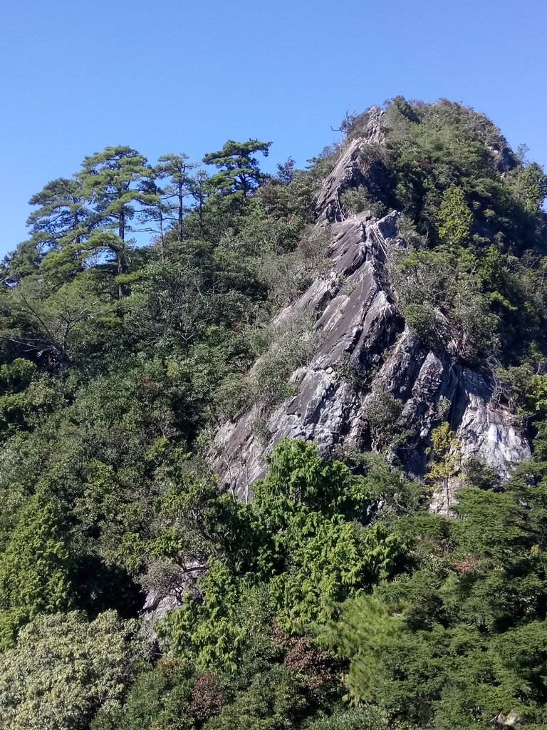 DSC_2625.JPG - 再訪---  台中  和平  鳶嘴山