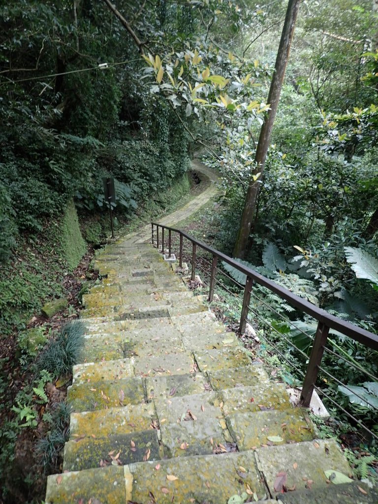 P1294441.JPG - 獅頭山  獅山古道  (01)