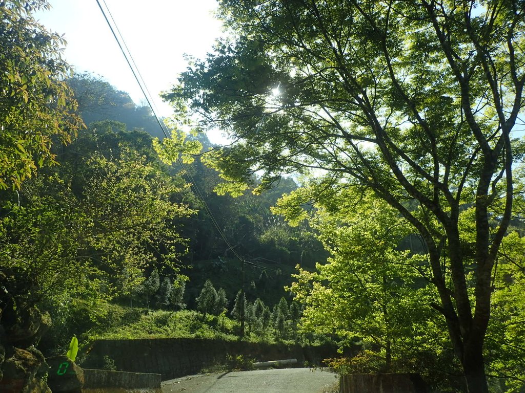 P2275991.JPG - 太平  暗影山(酒桶山)