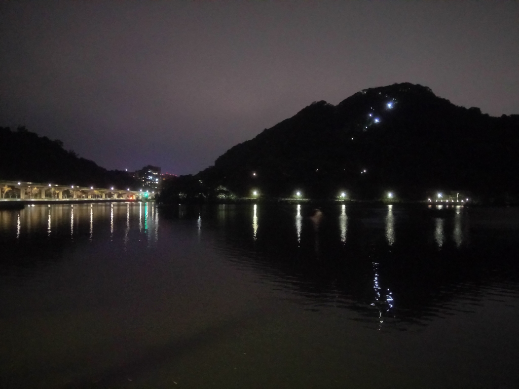 DSC_9325.JPG - 內湖  大湖公園之夜色