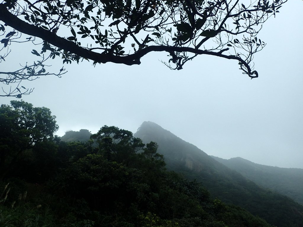 P2145418.JPG - 秀崎山  瑞芳山  龍潭山