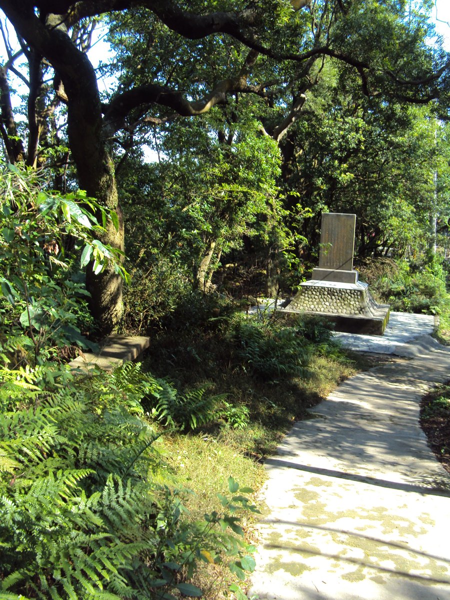 DSC01957.JPG - 三峽  鳶山登山步道