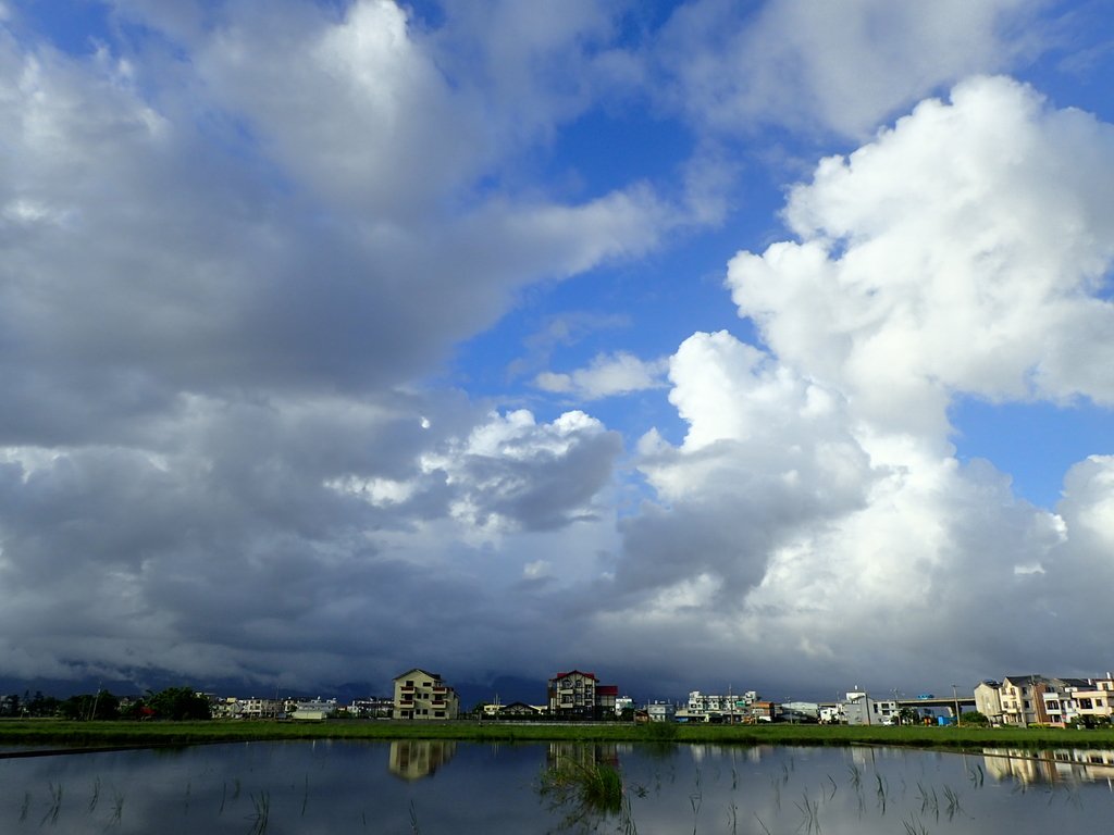 PA104188.JPG - 壯圍  竹安  水田雲影