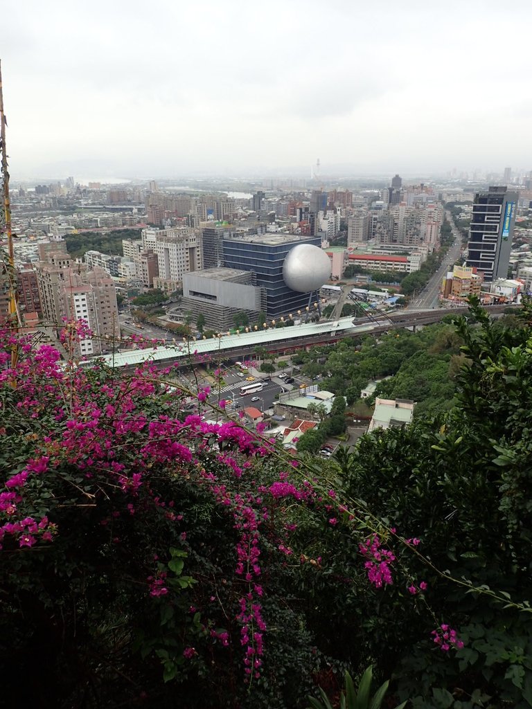 P1122642.JPG - 大直圓山風景區  劍潭山