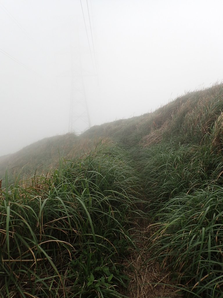 P1203487.JPG - 瑞芳  牡丹山