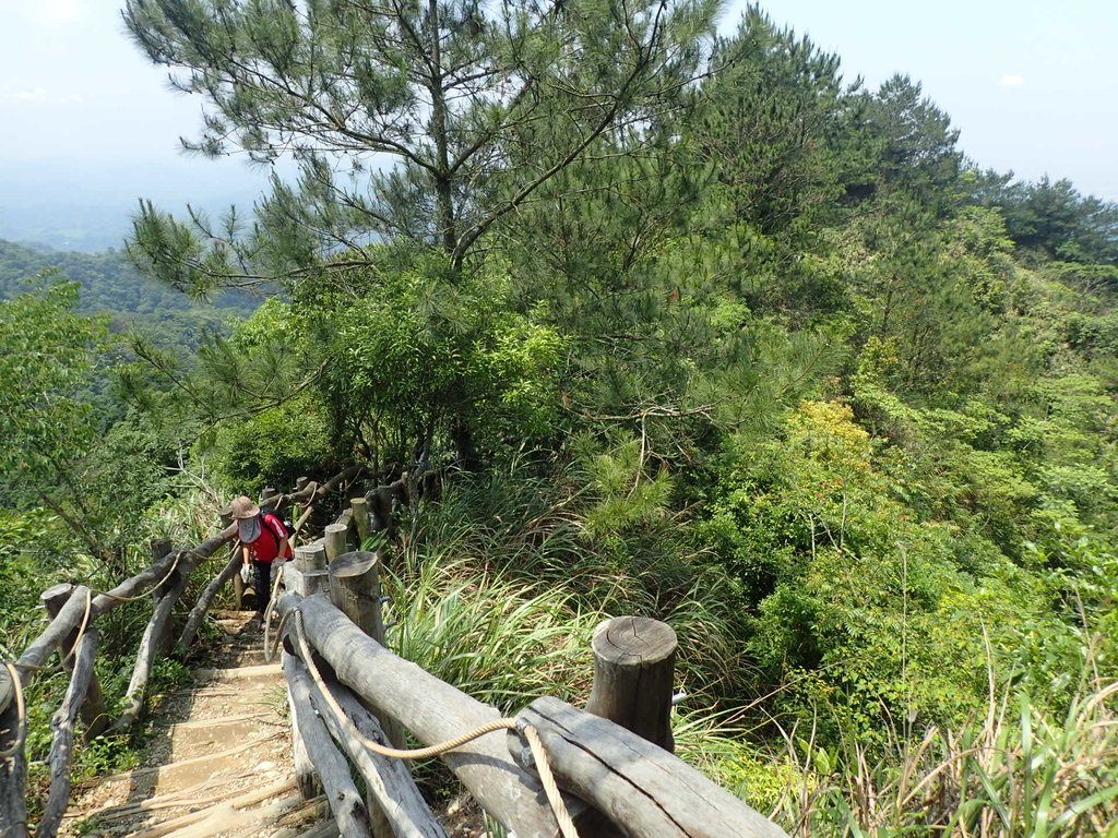 P5117184.JPG - 大坑四號步道  頭嵙山