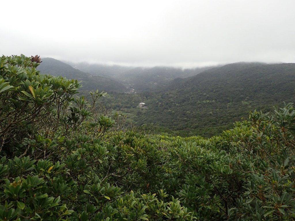 P2288790.JPG - 內湖  大崙尾山