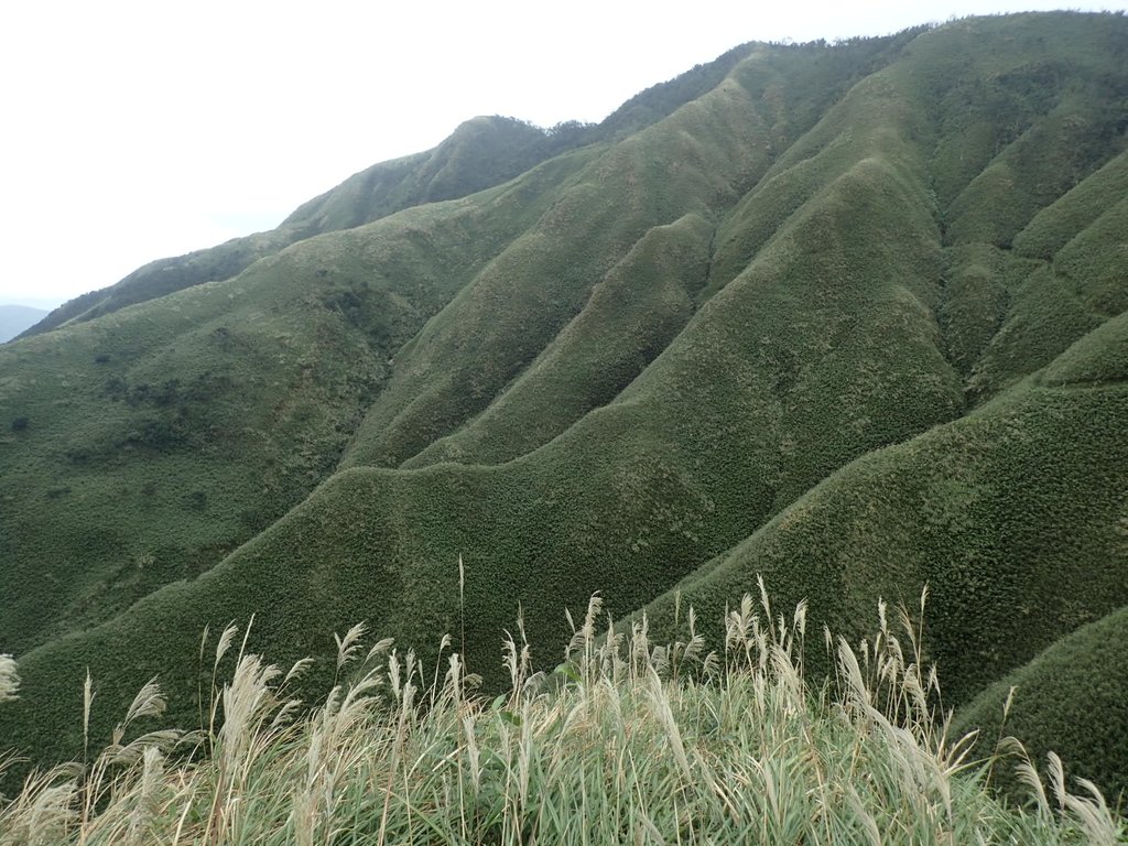 PB159036.JPG - 礁溪  聖母登山步道  (抹茶山)