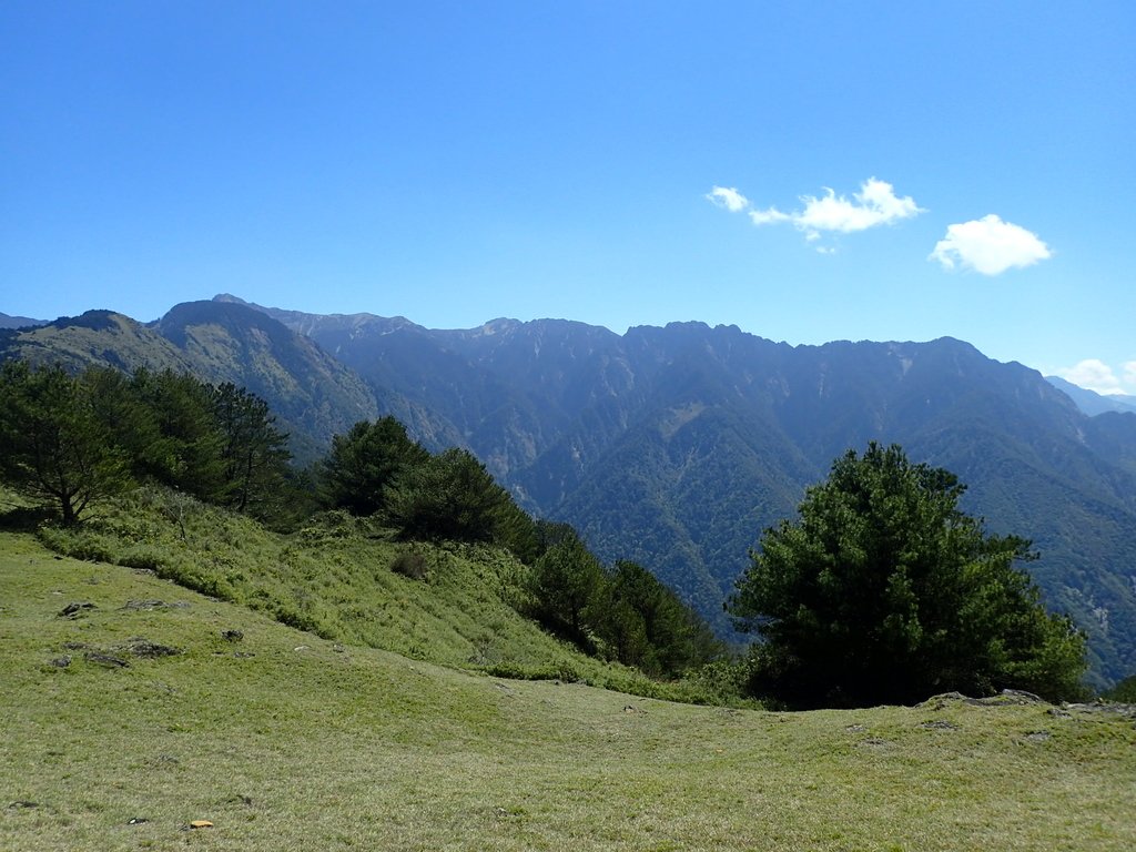 P3268150.JPG - 鹿林山  麟趾山步道  (02)