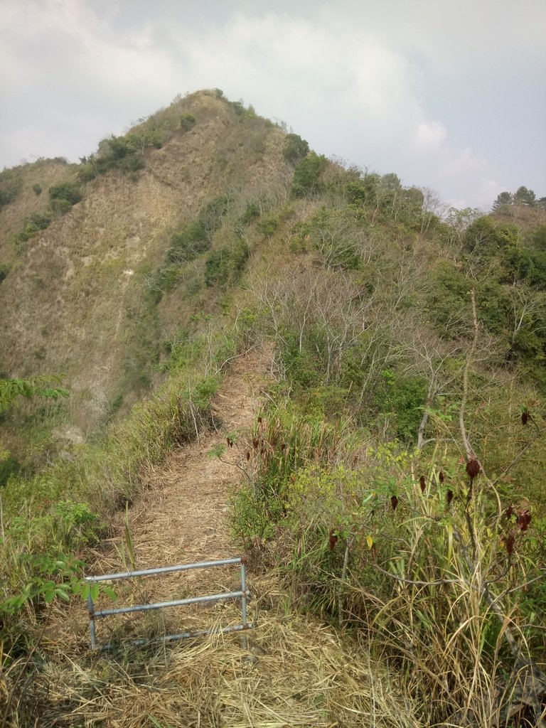 DSC_7371.JPG - 草屯平林  九九峰森林步道