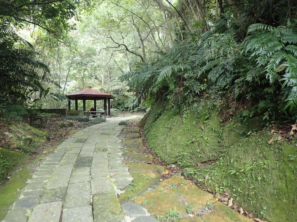 P1294442.JPG - 獅頭山  獅山古道  (01)