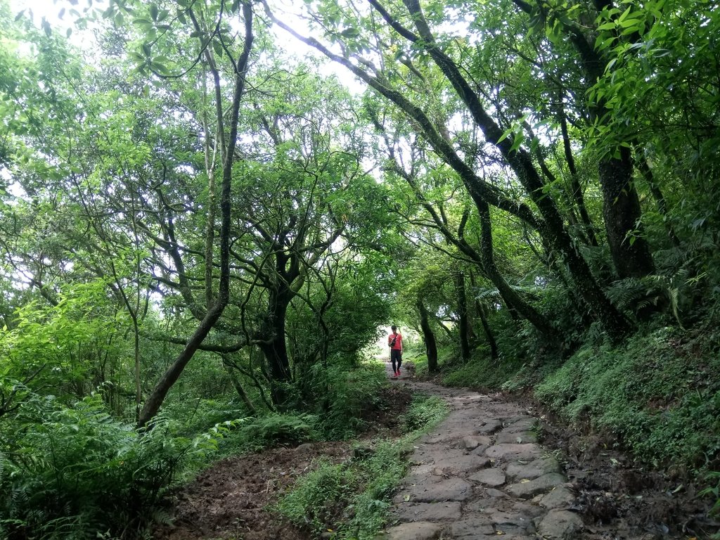 DSC_9352.JPG - 萬里  風櫃嘴  頂山