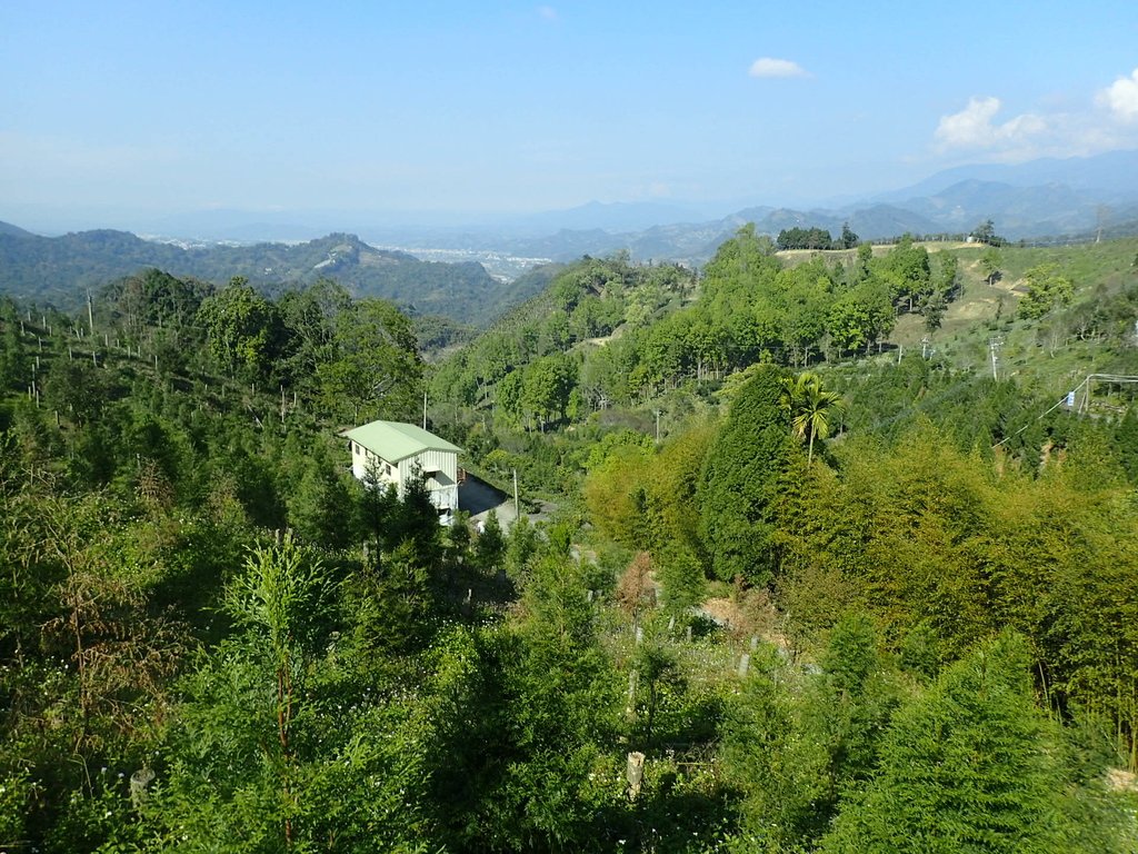 P2275993.JPG - 太平  暗影山(酒桶山)