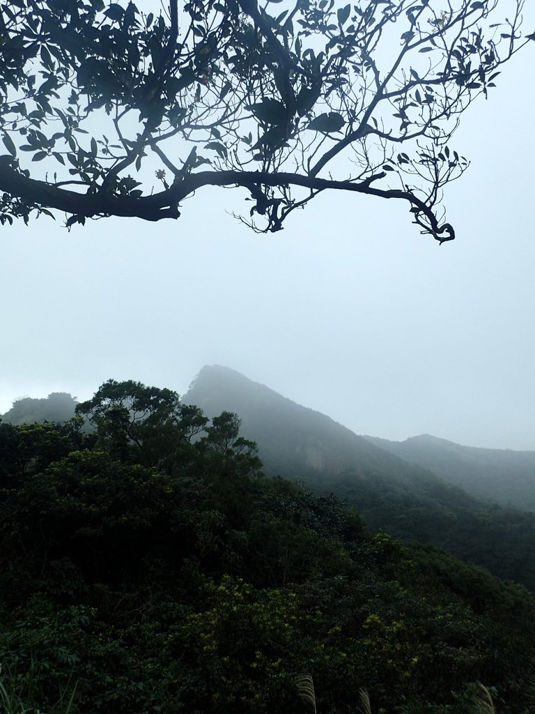 P2145419.JPG - 秀崎山  瑞芳山  龍潭山