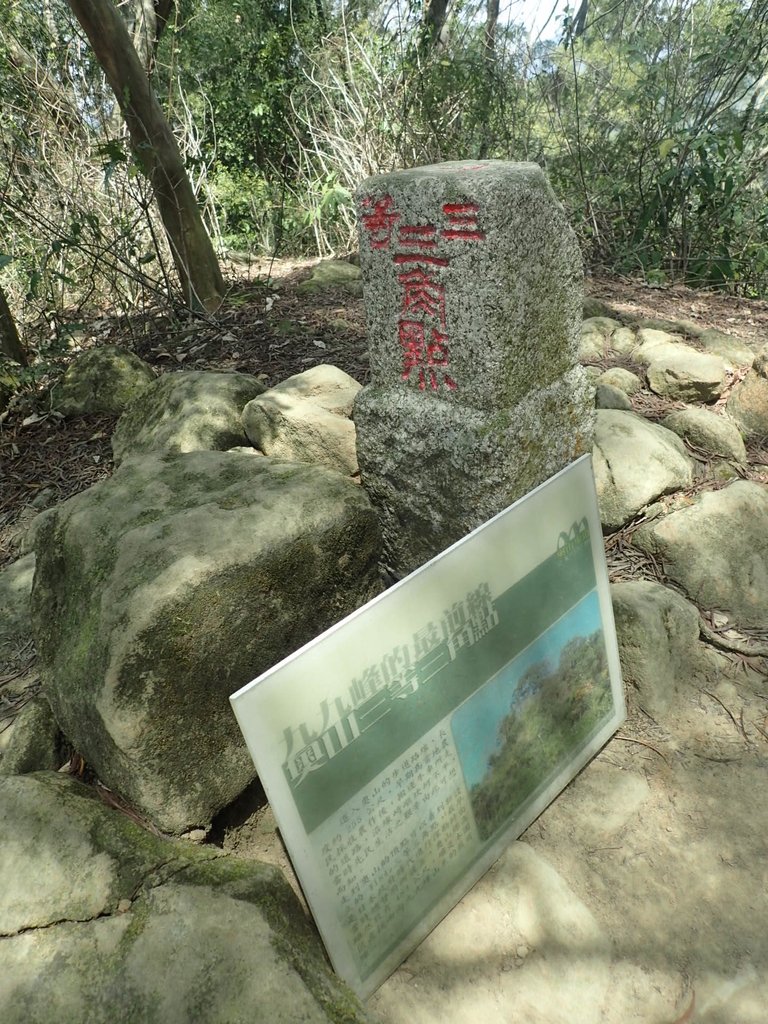 P4161444.JPG - 霧峰  青桐林生態園區