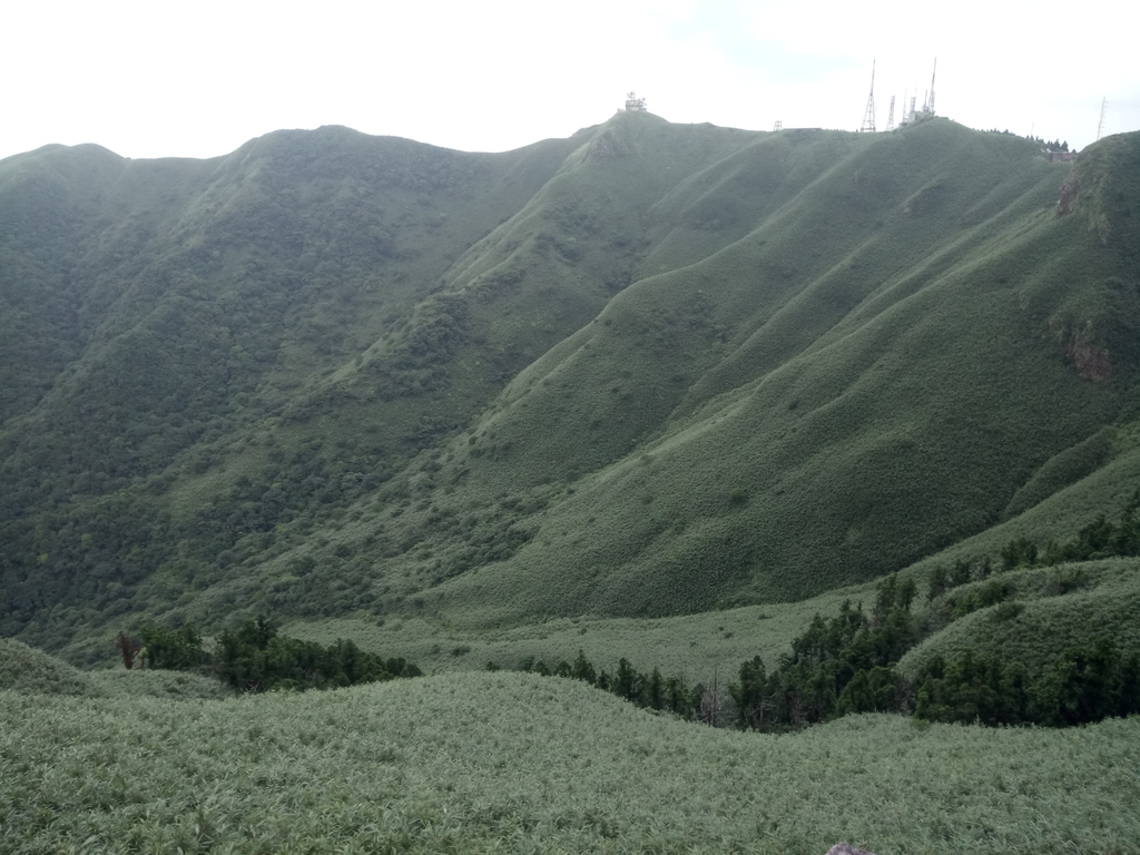 DSC_4530.JPG - 小觀音山  西峰登山步道