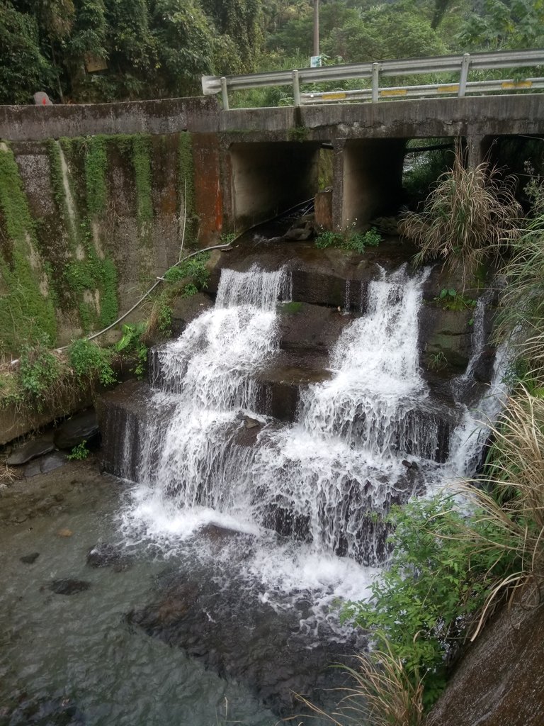 DSC_4143.JPG - 魚池  大尖山  鹽土坑林道