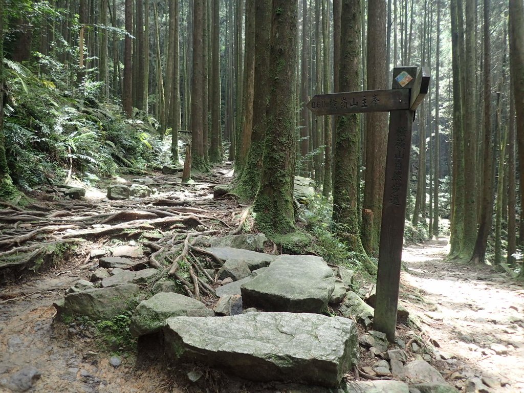 P7235917.JPG - 台中  和平  橫嶺山自然步道