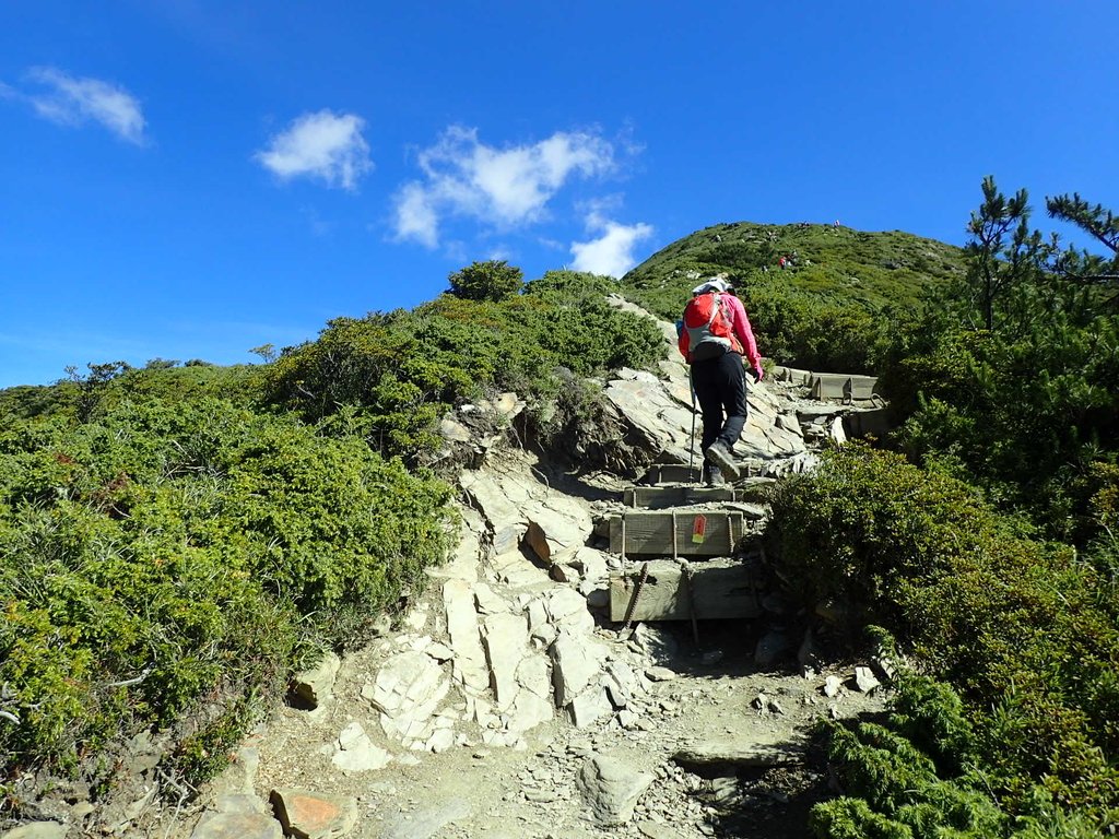 P7245949.JPG - 合歡山  北峰之美  (上)