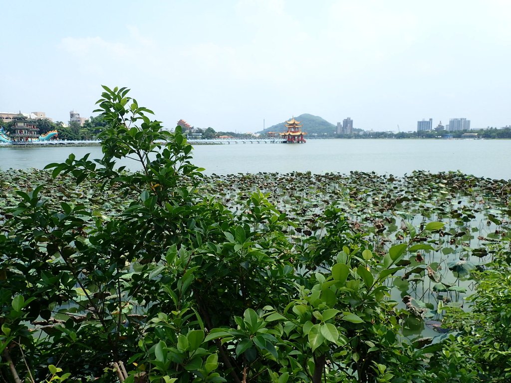 P8191736.JPG - 左營  蓮池潭  龜山公園