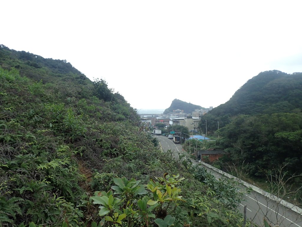 P1264003.JPG - 野柳  北八斗山稜線步道