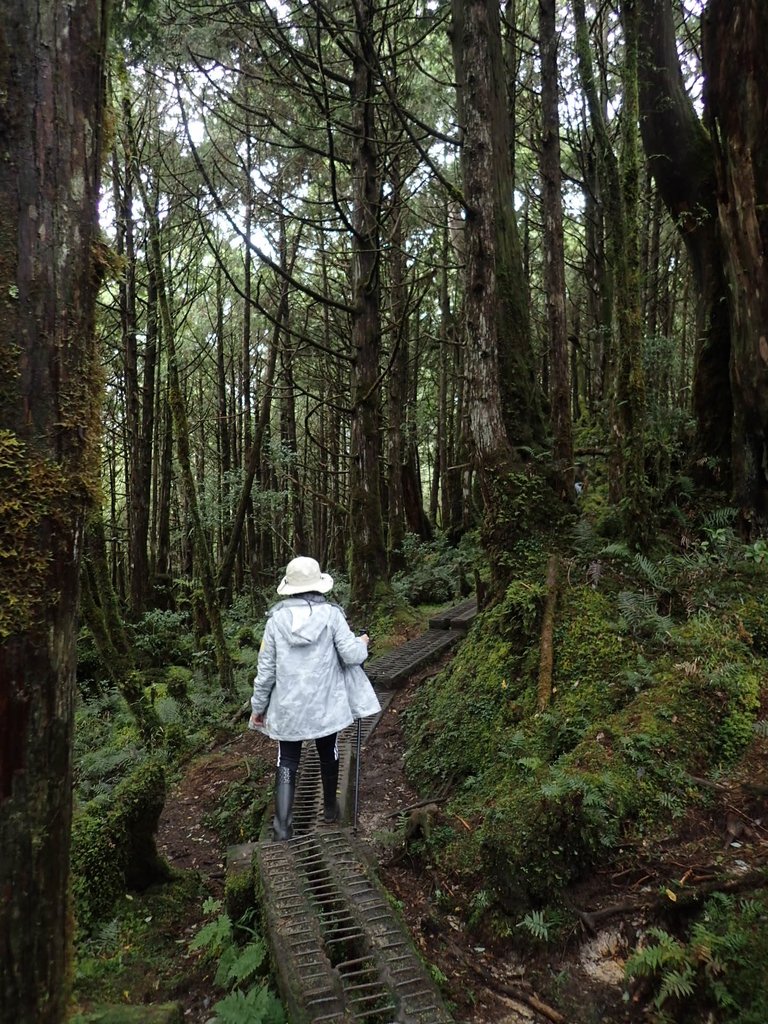 PB265413.JPG - 太平山  翠峰湖環山步道  02