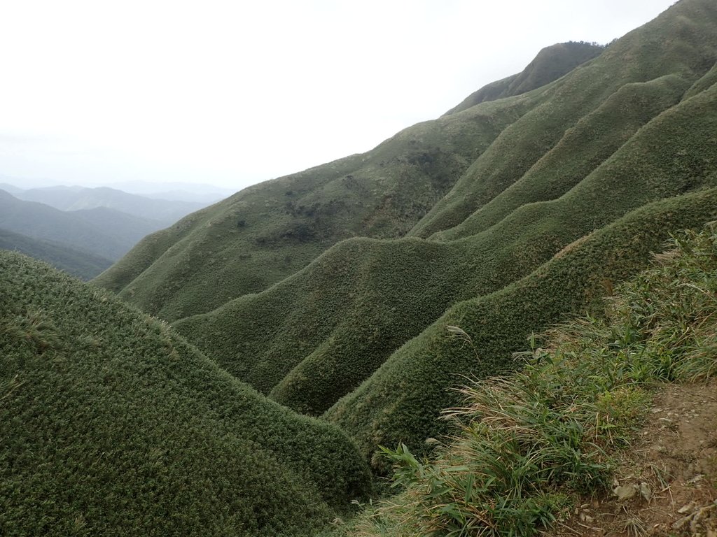 PB159046.JPG - 礁溪  聖母登山步道  (抹茶山)