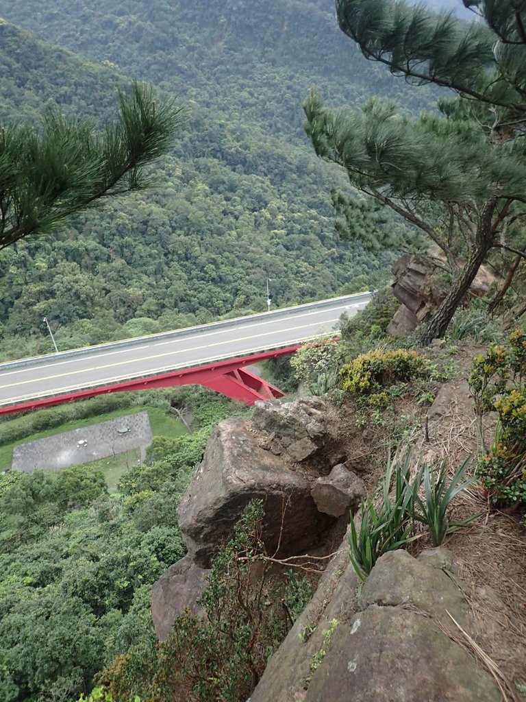 P3160167.JPG - 汐止  金面山(金明山)  稜線步道