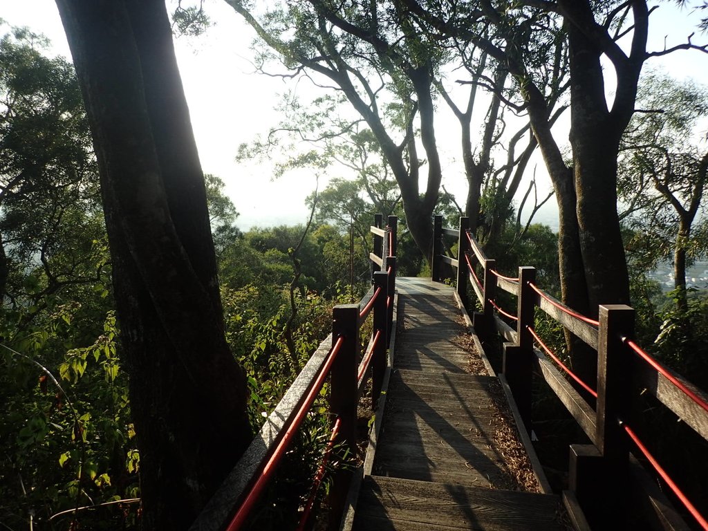 P1123659.JPG - 潭子 聚興山  新田登山步道